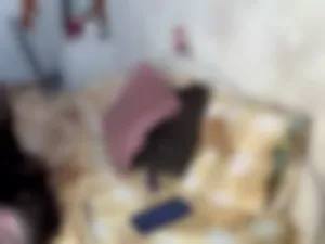 ninfavanheel