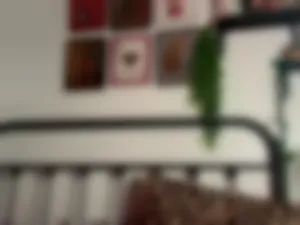 avaxlee