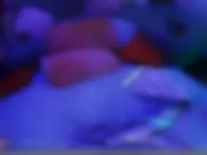 chubschadwell