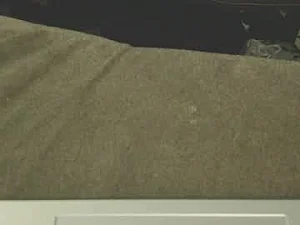 daddynlilgamergirl69
