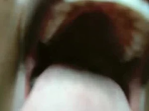 ginger_gn