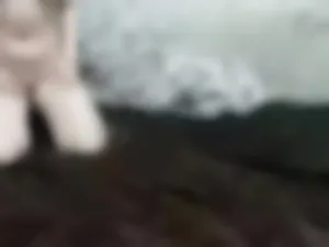 honiednasty