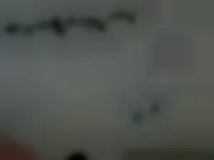 princesssnowflk84