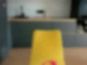 sarashineee