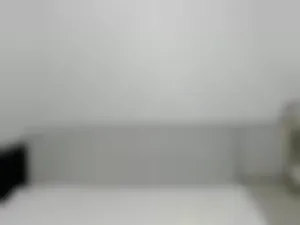 special_fox