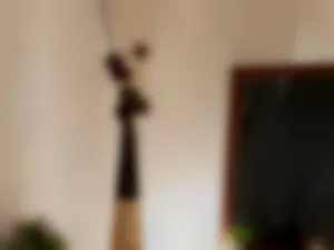 tomikaguinta
