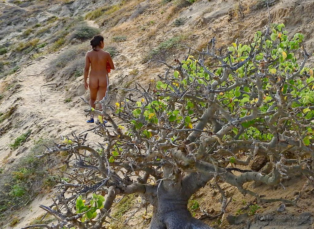 Shore Hike