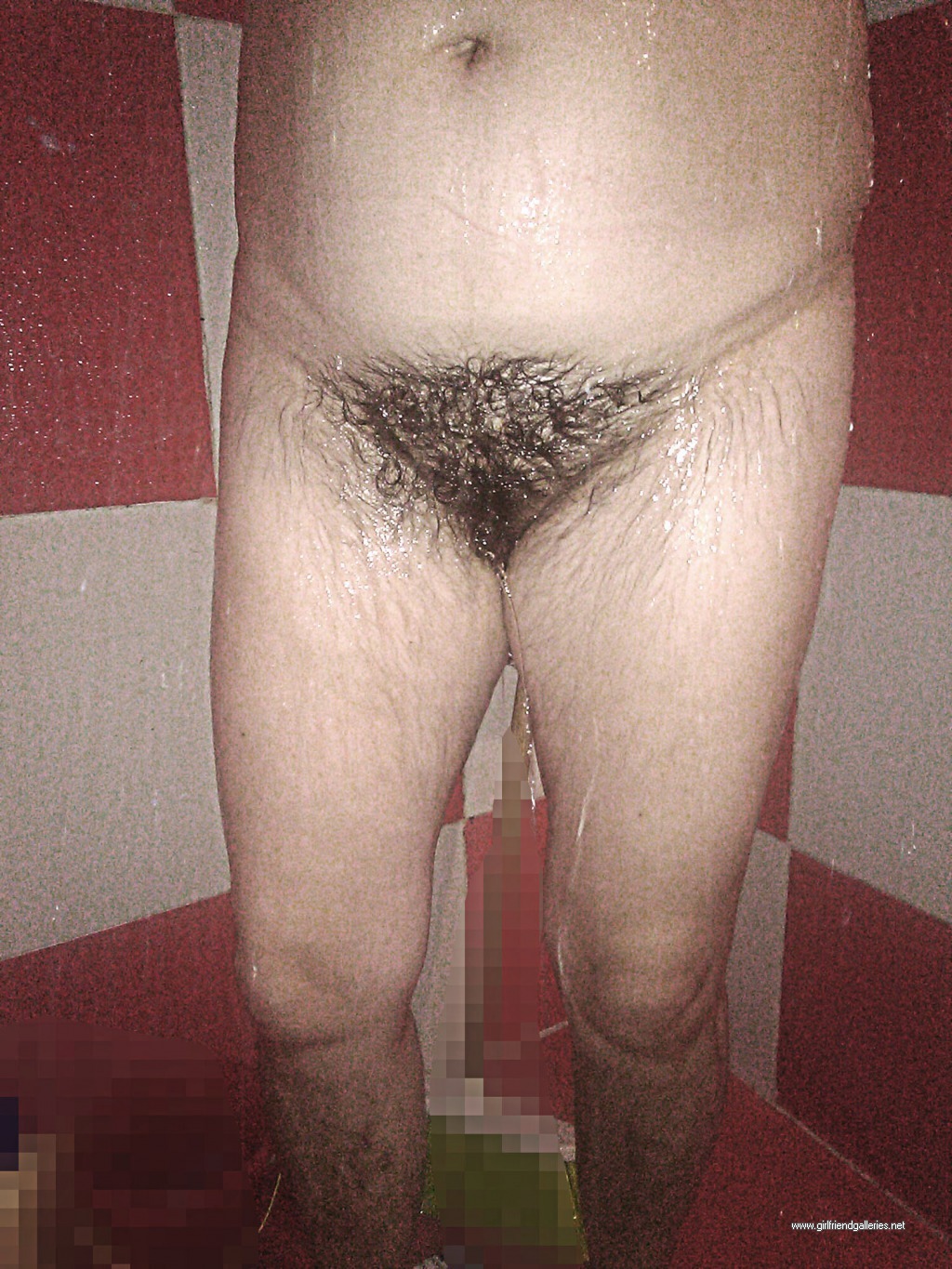 my hairy wife bathing