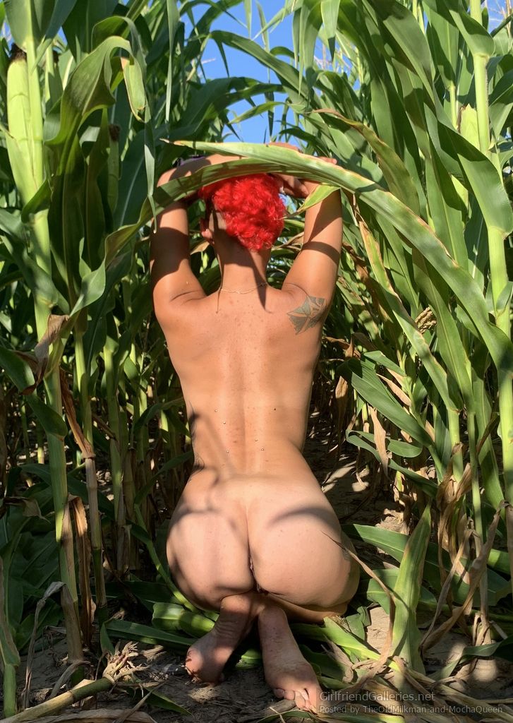Corn field… pre video