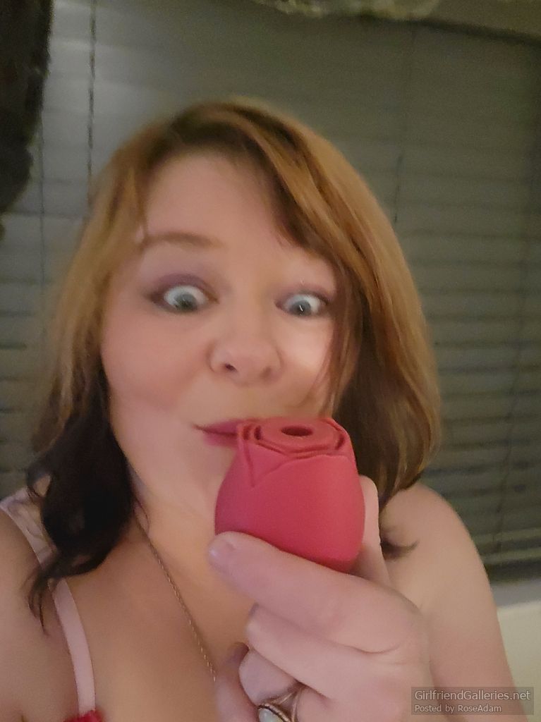 Sweet Valentine Rose for my Rose 🌹