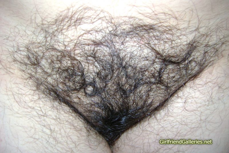 mi hairy wife 11