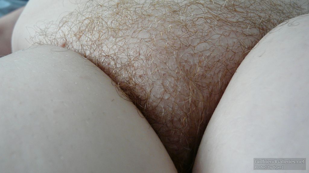 Wife