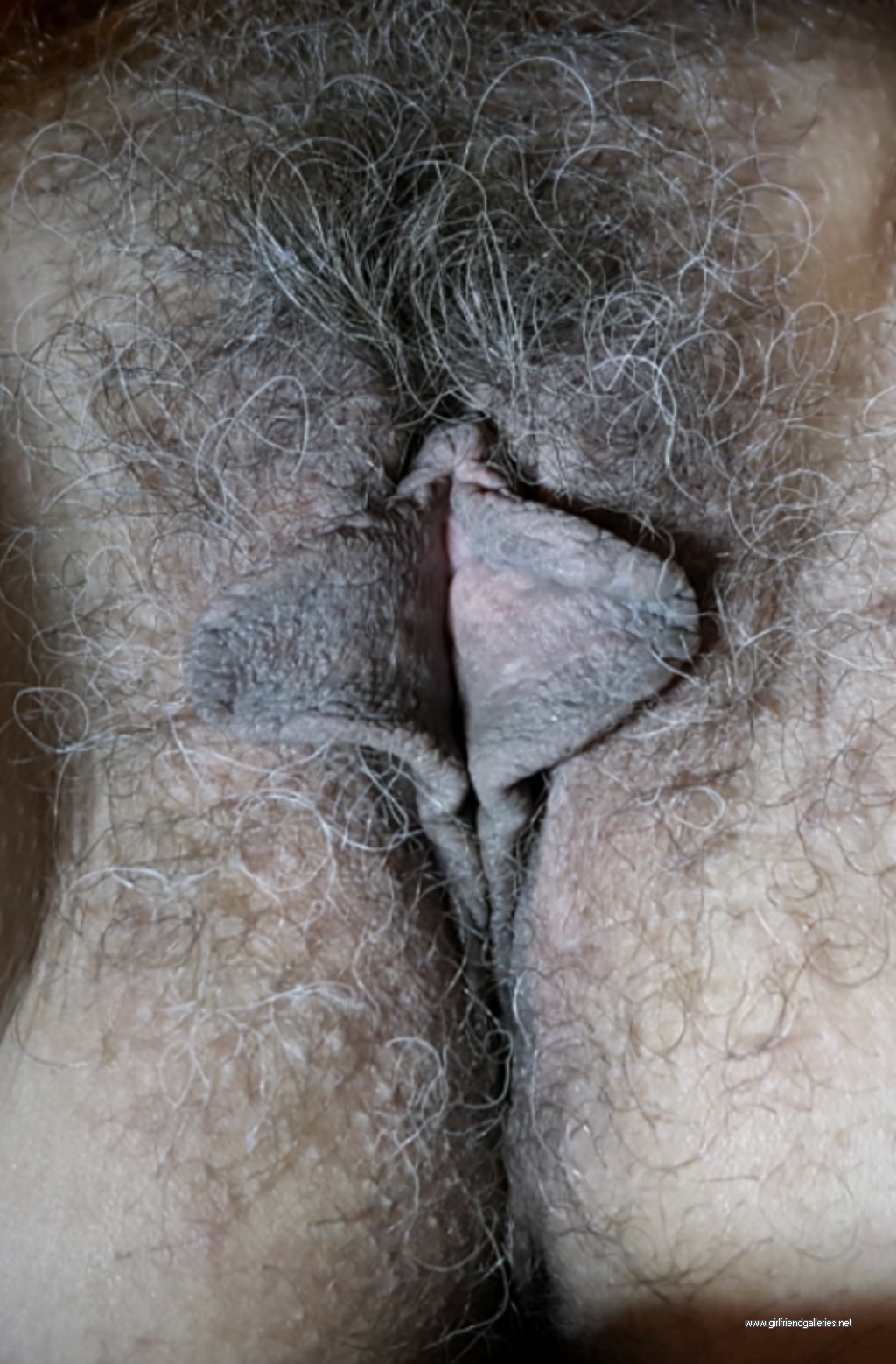 Milf Wife’s well used hairy meaty cunt