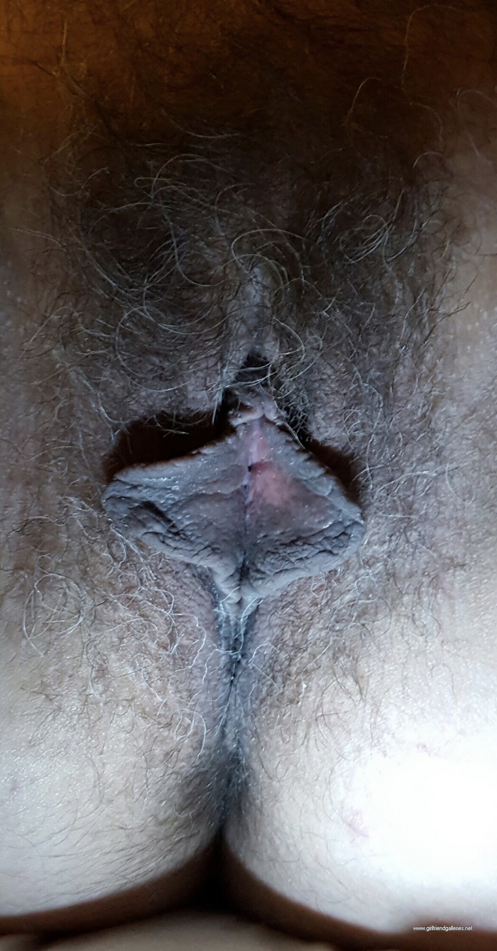Milf Wife’s well used hairy meaty cunt