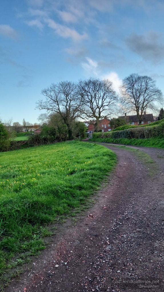 Roses woodland fun trek alone