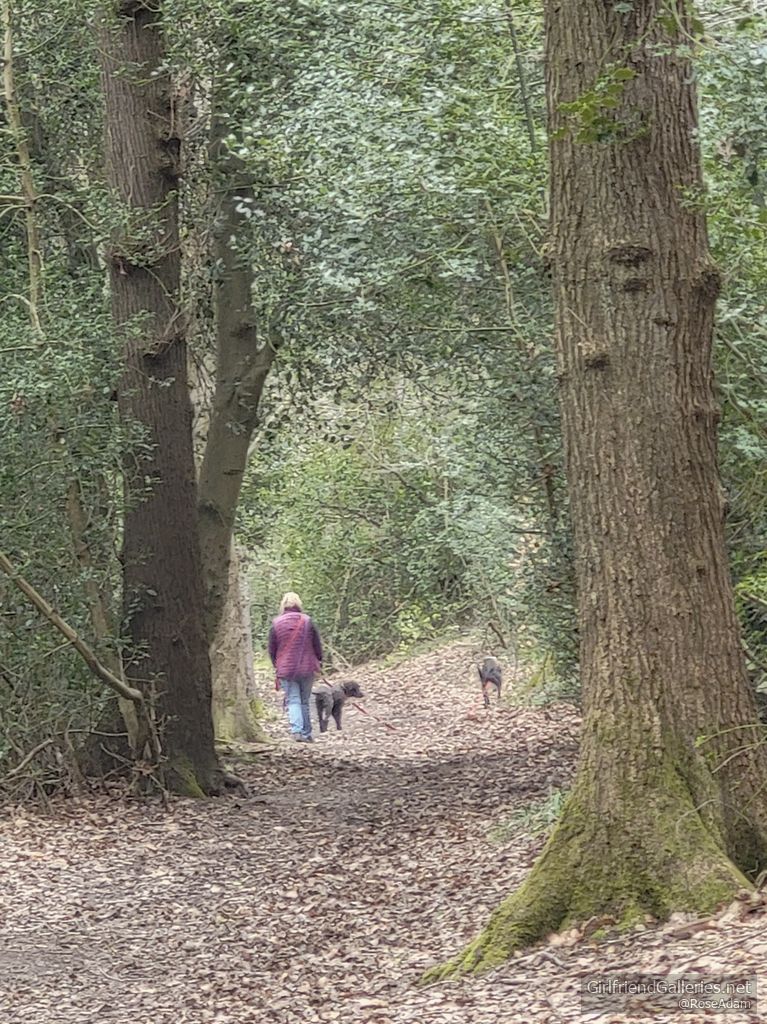 Roses woodland fun trek alone
