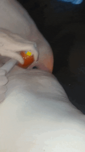 Wife getting it done in front of everyone